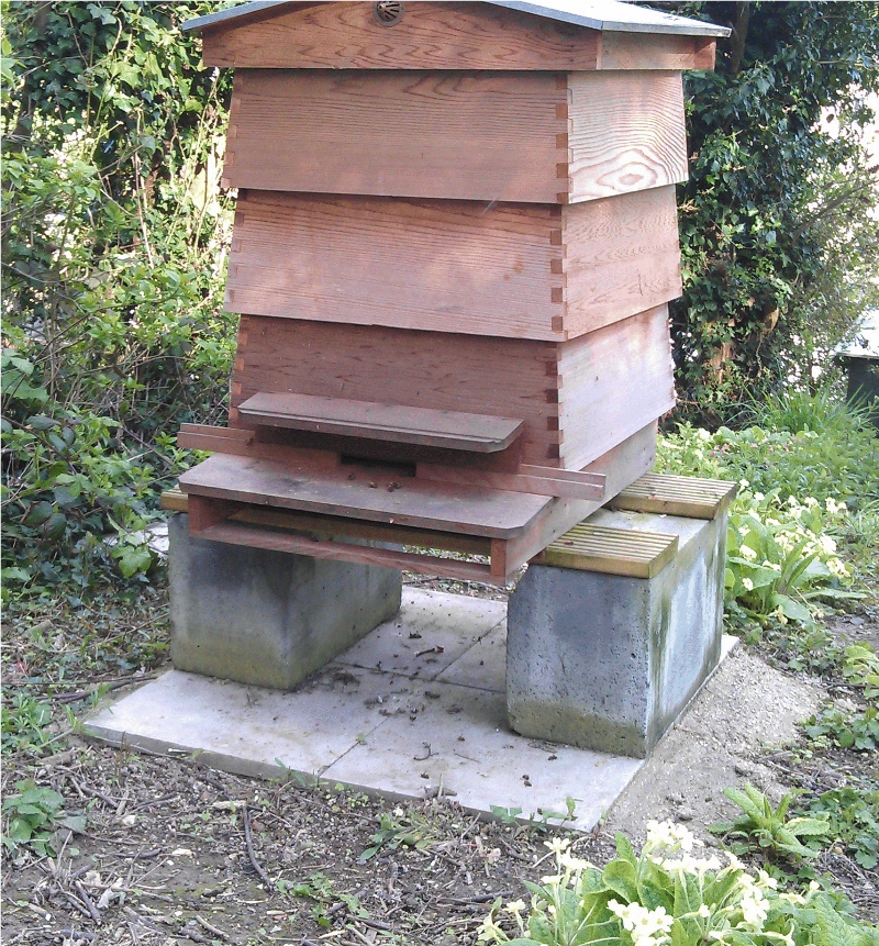 pic of WBC hive on stand