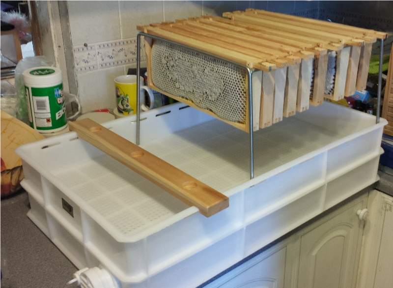 products from the beehive